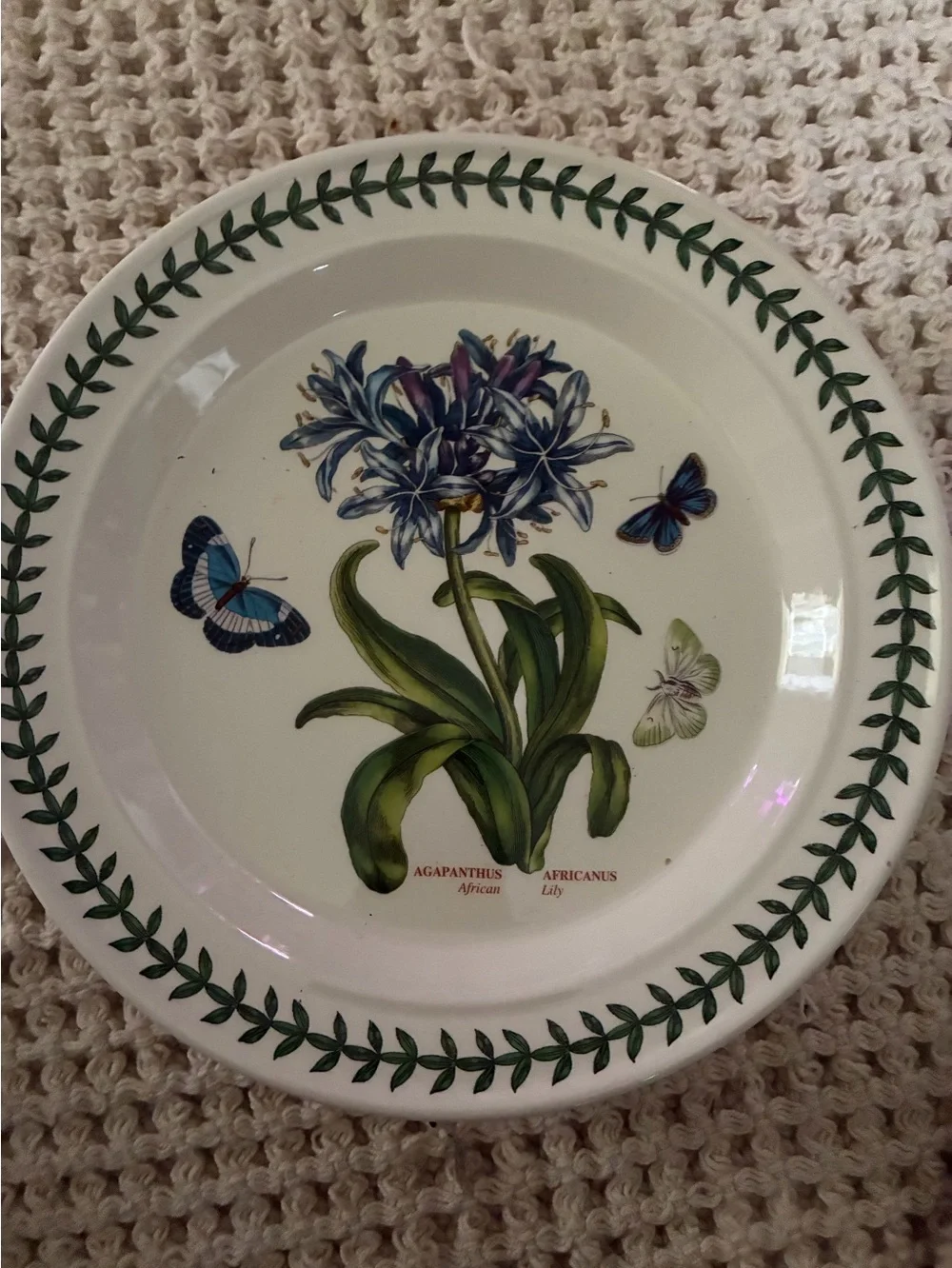 Portmeirion Botanic Garden African Lily Agapanthus 10 ½” Dinner Plate